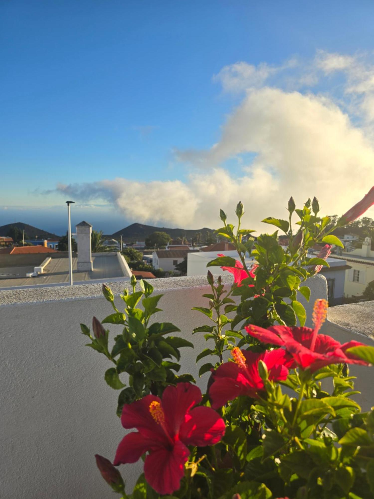 Apartment Volcanes *